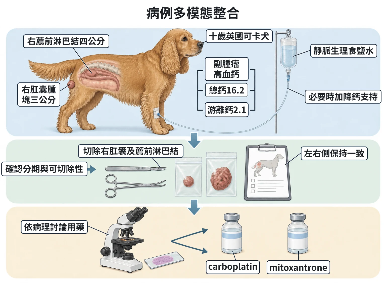 病例多模態整合教學插圖