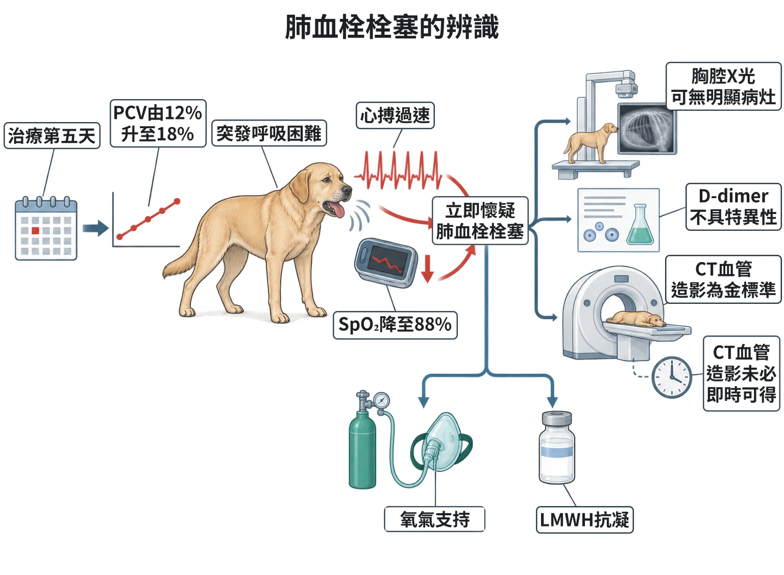 肺血栓栓塞的辨識教學插圖