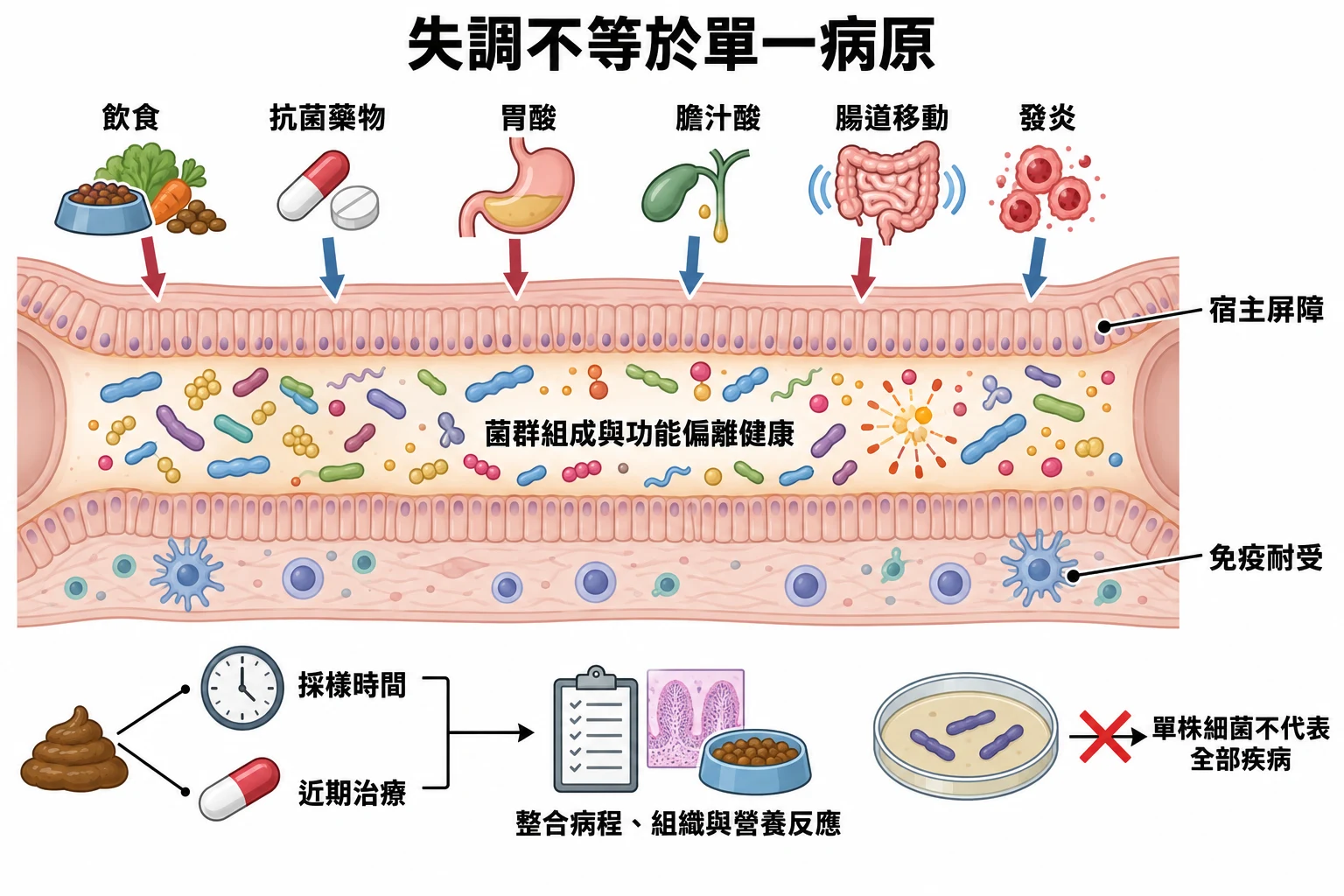 失調不等於單一病原教學插圖