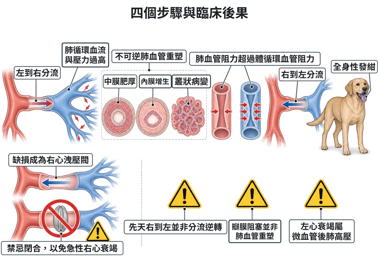 四個步驟與臨床後果教學插圖