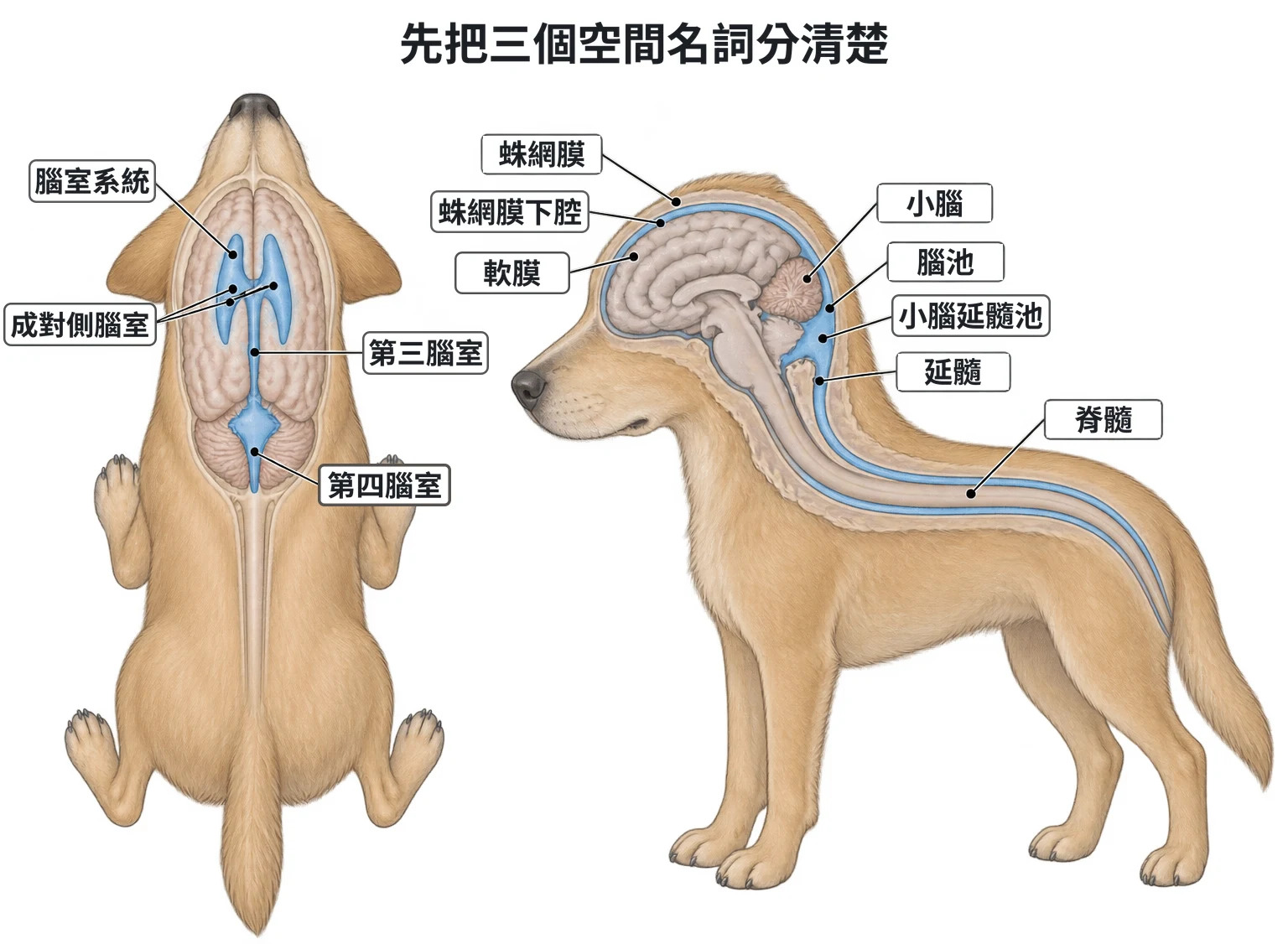 先把三個空間名詞分清楚教學插圖