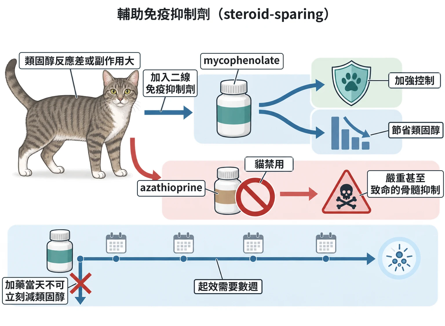 輔助免疫抑制劑(steroid-sparing)教學插圖