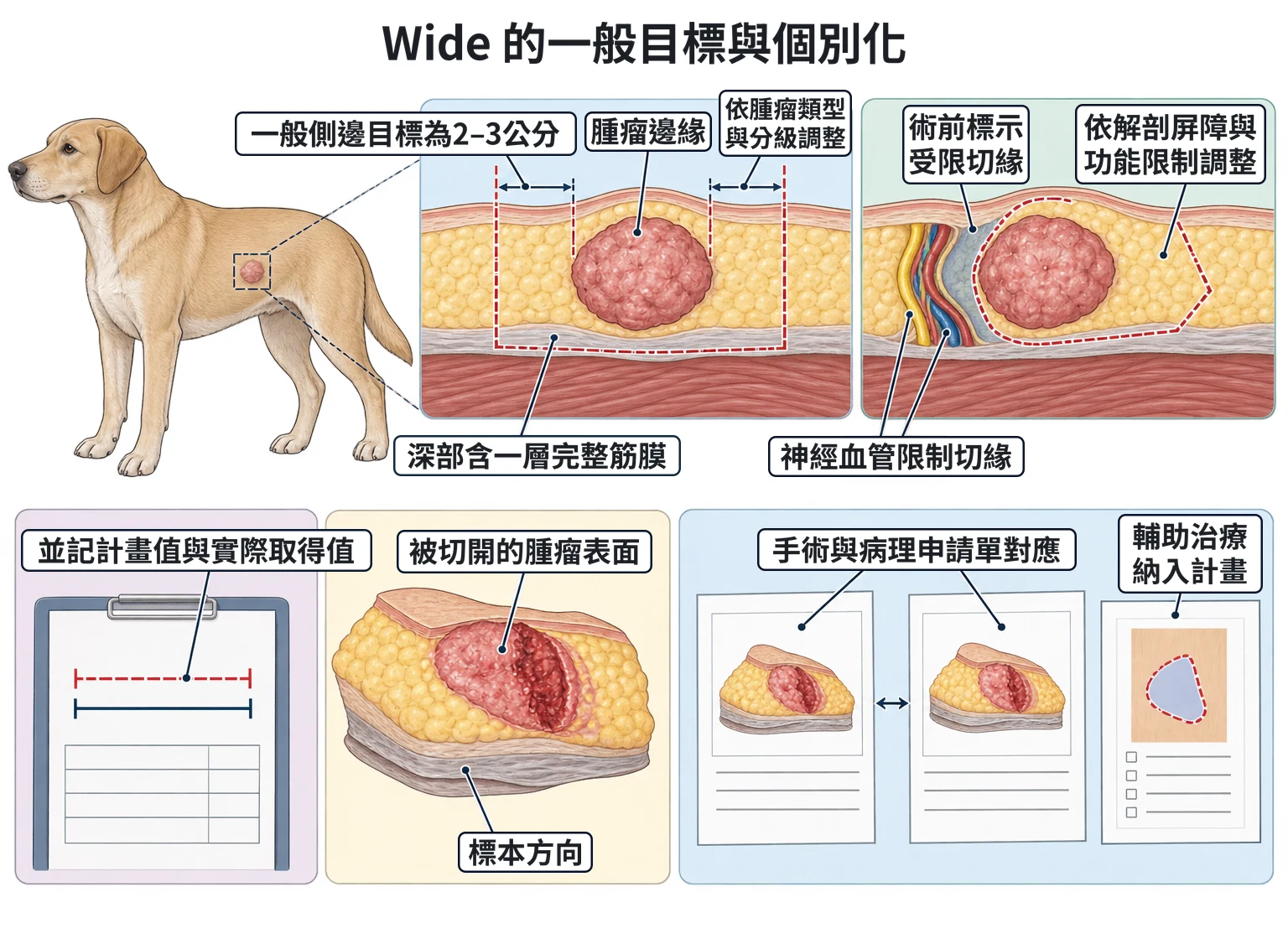 Wide 的一般目標與個別化教學插圖