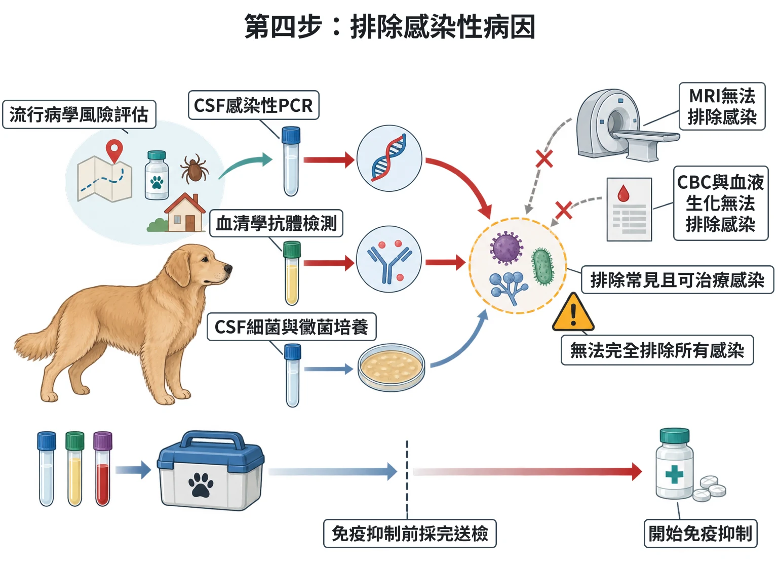 第四步:排除感染性病因教學插圖