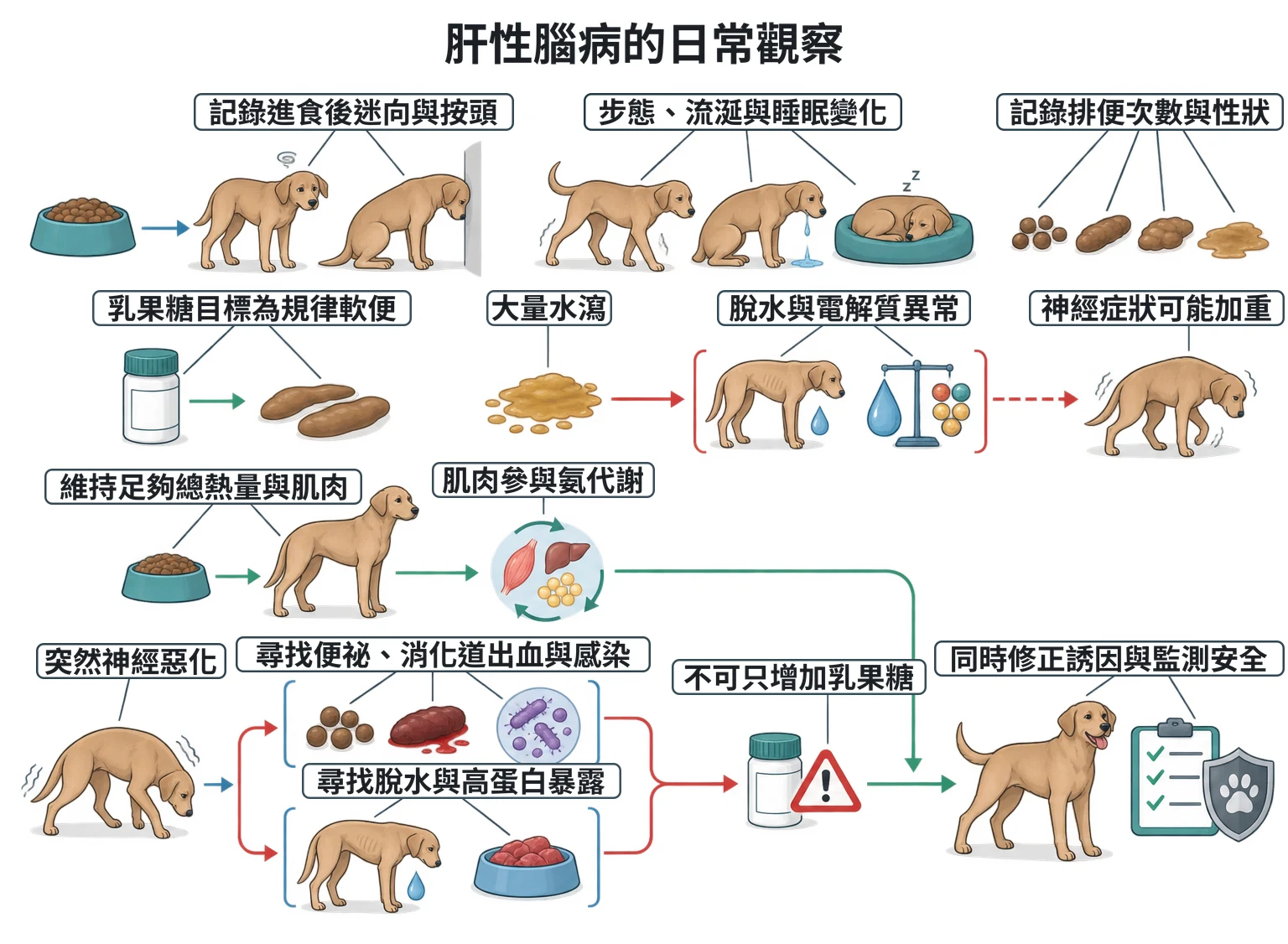 肝性腦病的日常觀察教學插圖