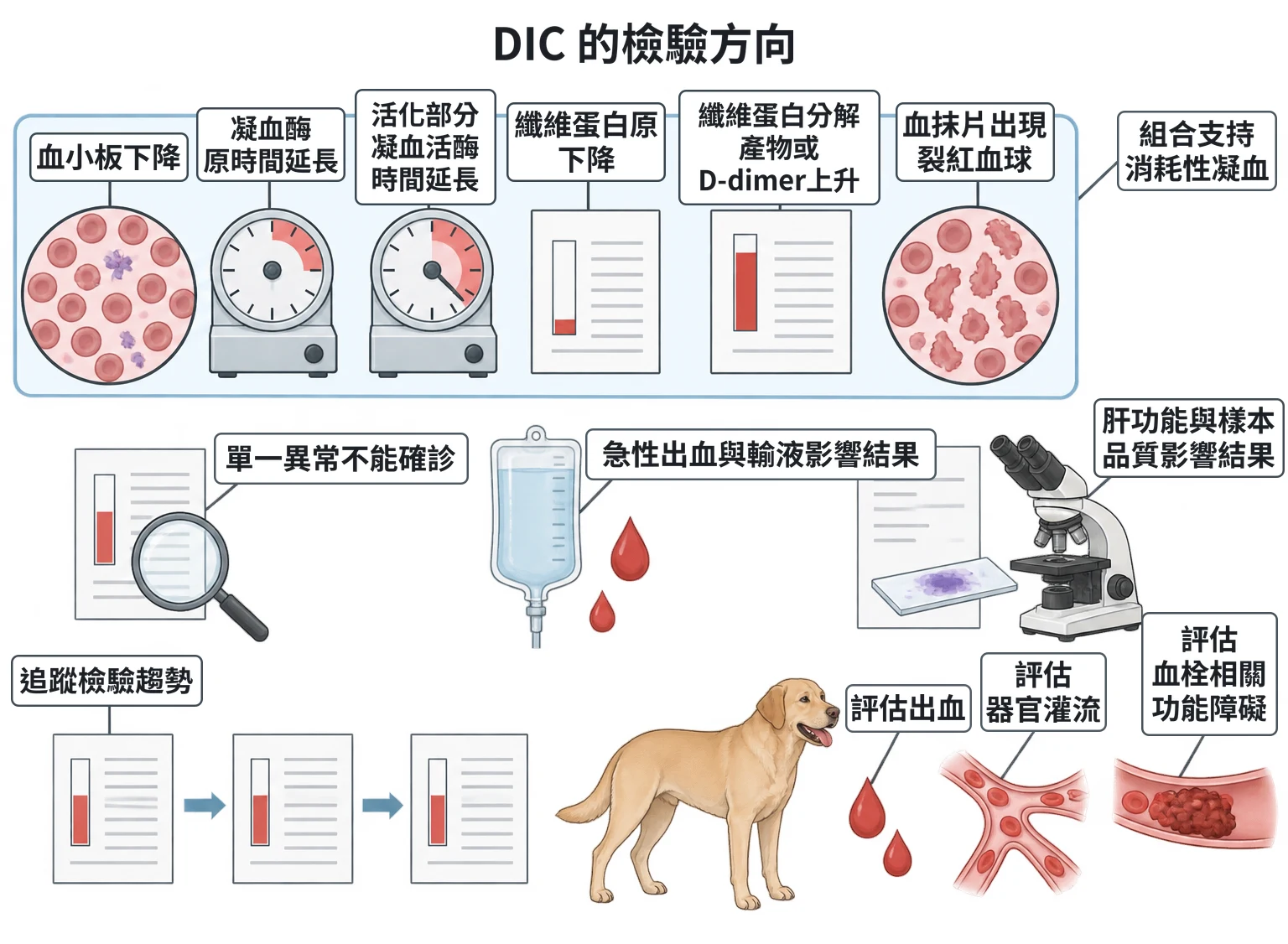 DIC 的檢驗方向教學插圖
