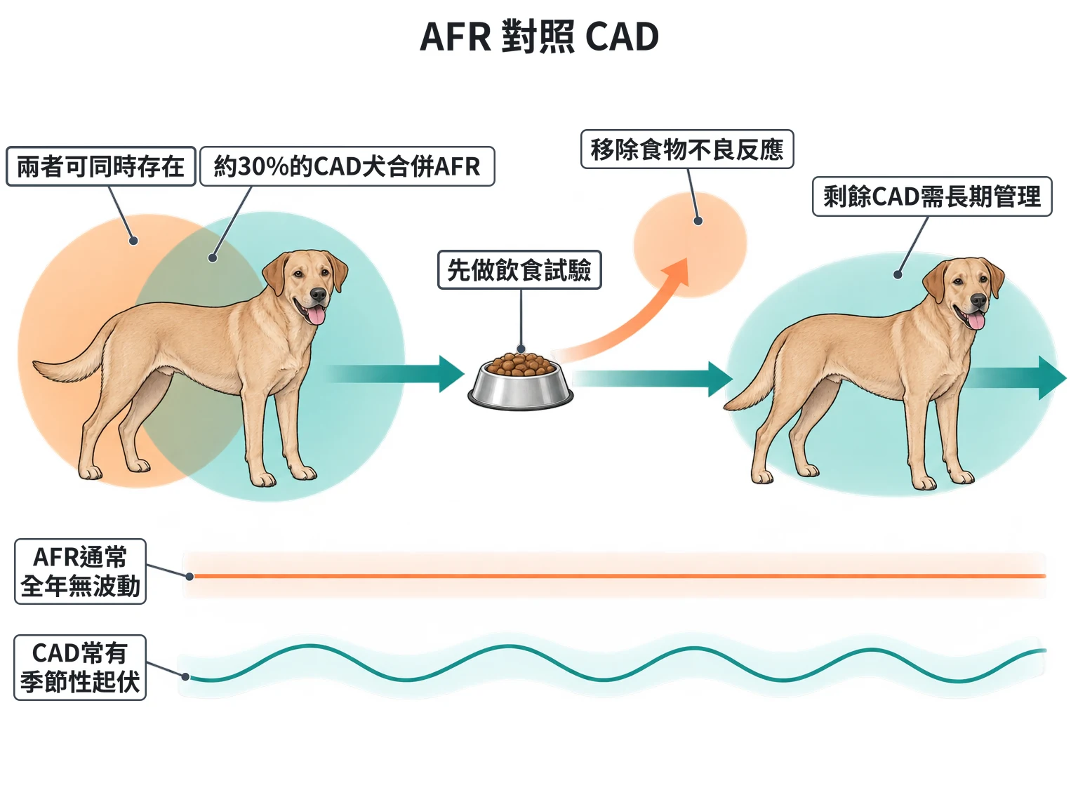 AFR 對照 CAD教學插圖