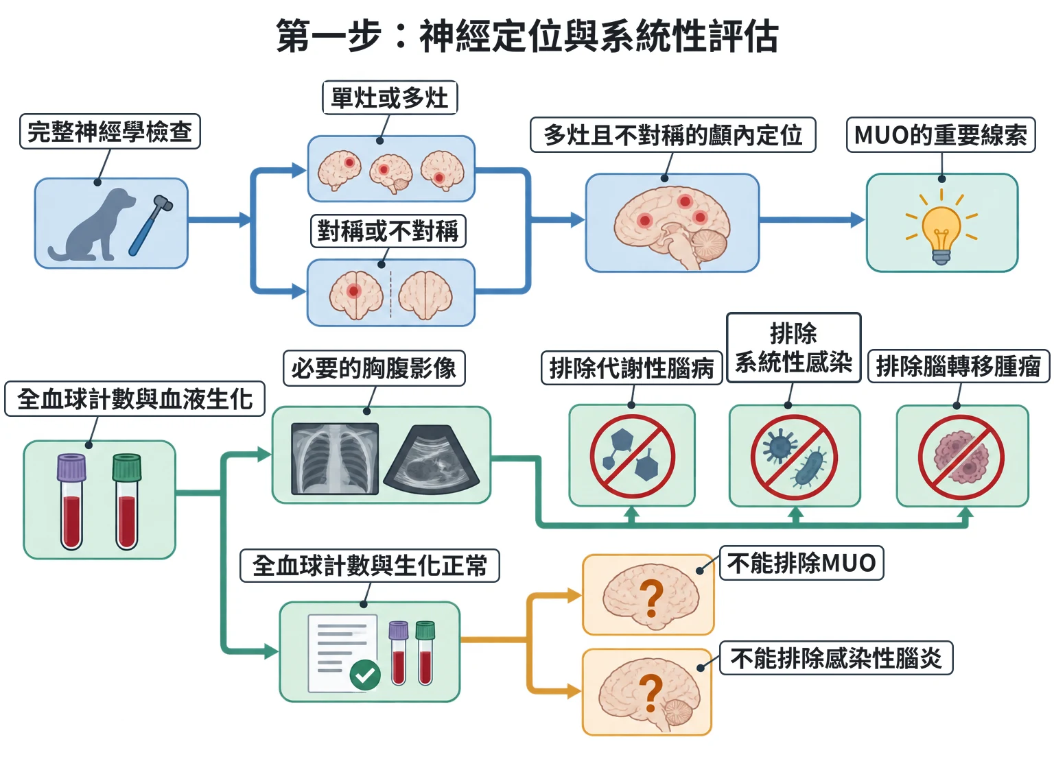 第一步:神經定位與系統性評估教學插圖