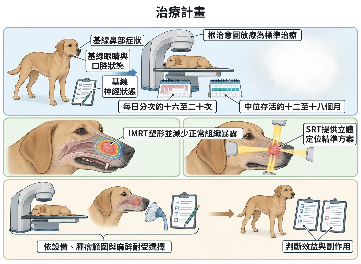 治療計畫教學插圖