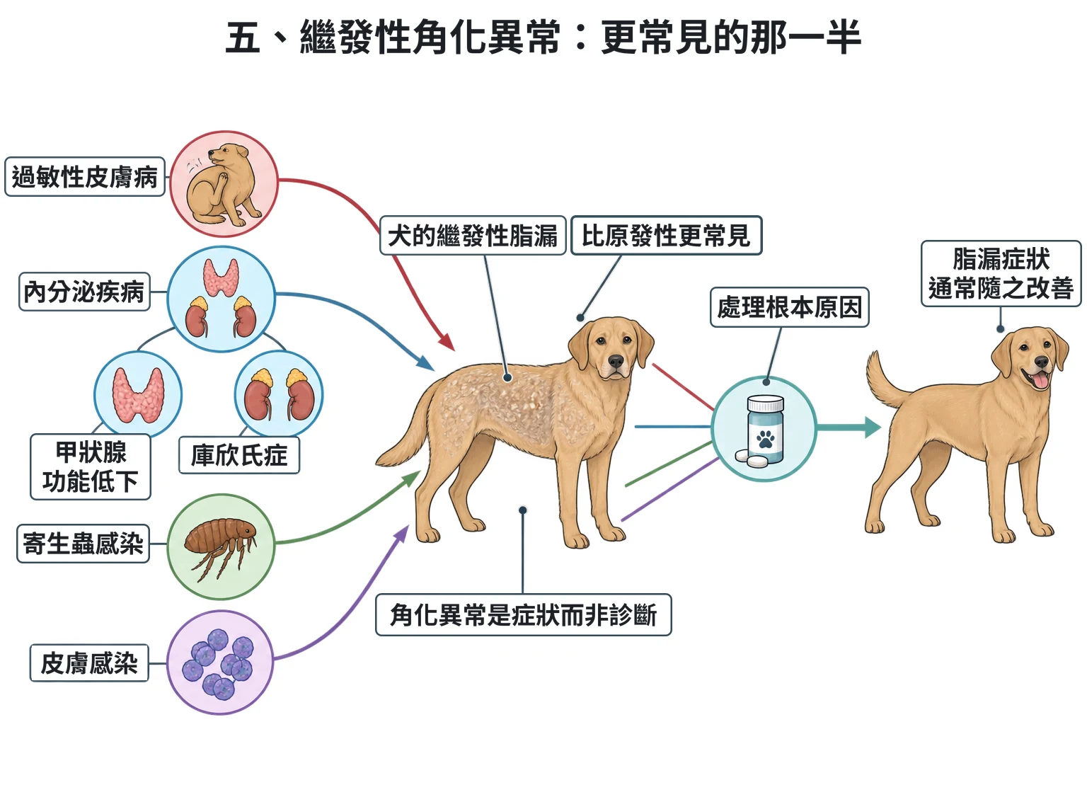 五、繼發性角化異常:更常見的那一半教學插圖