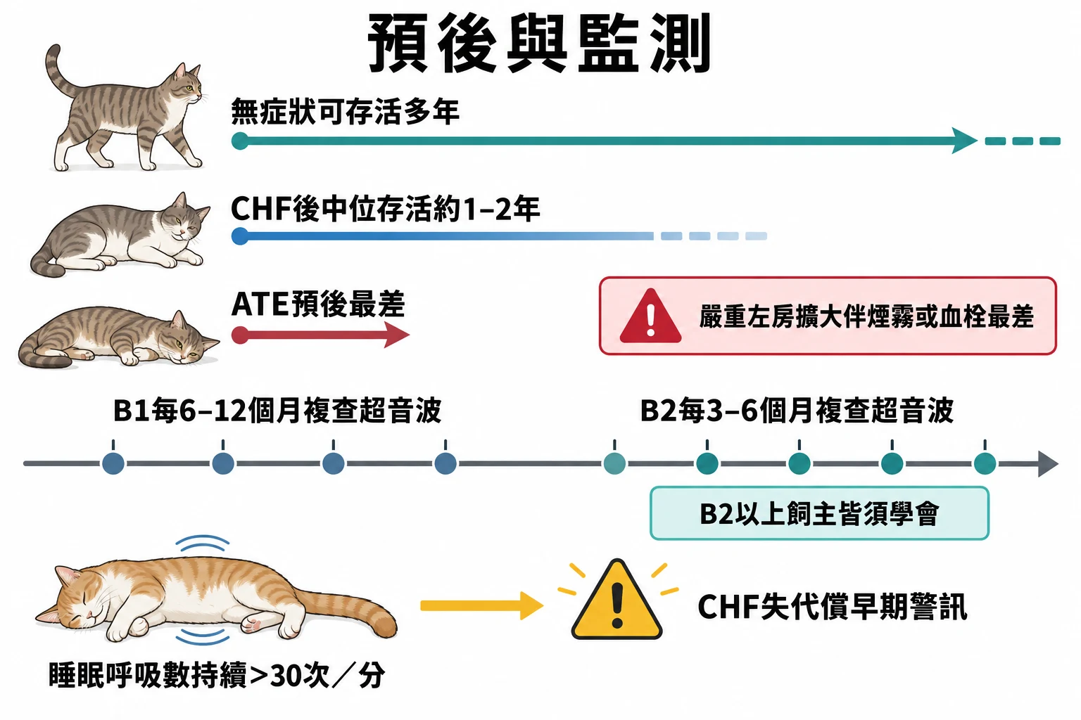 預後與監測教學插圖