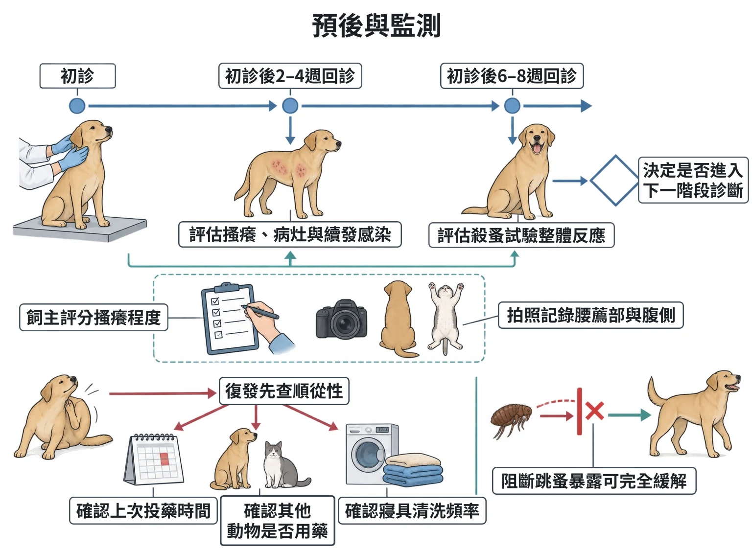 預後與監測教學插圖