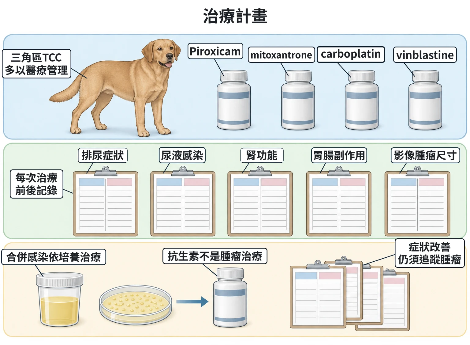 治療計畫教學插圖