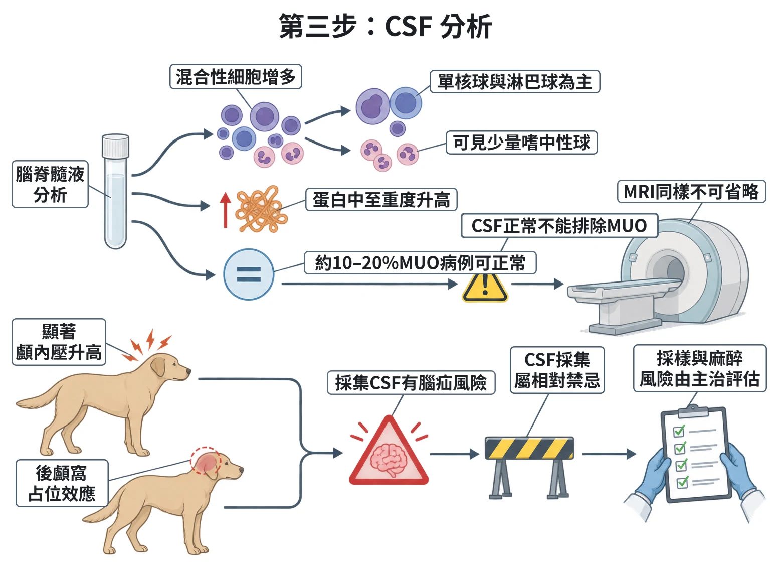 第三步:CSF 分析教學插圖