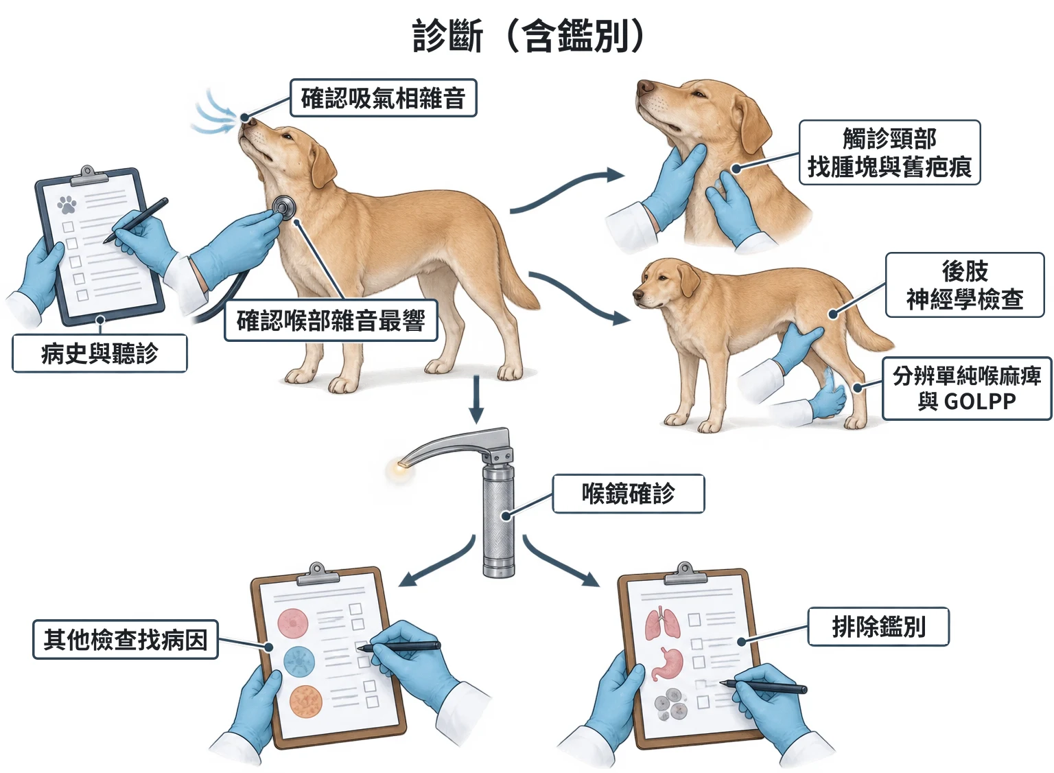 診斷(含鑑別)教學插圖