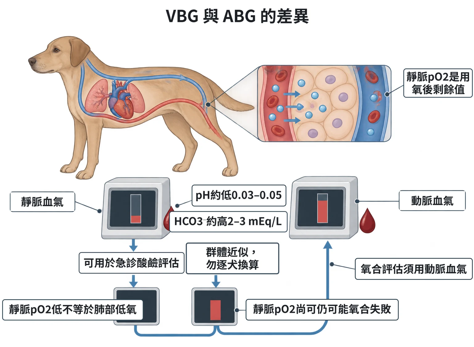 VBG 與 ABG 的差異教學插圖