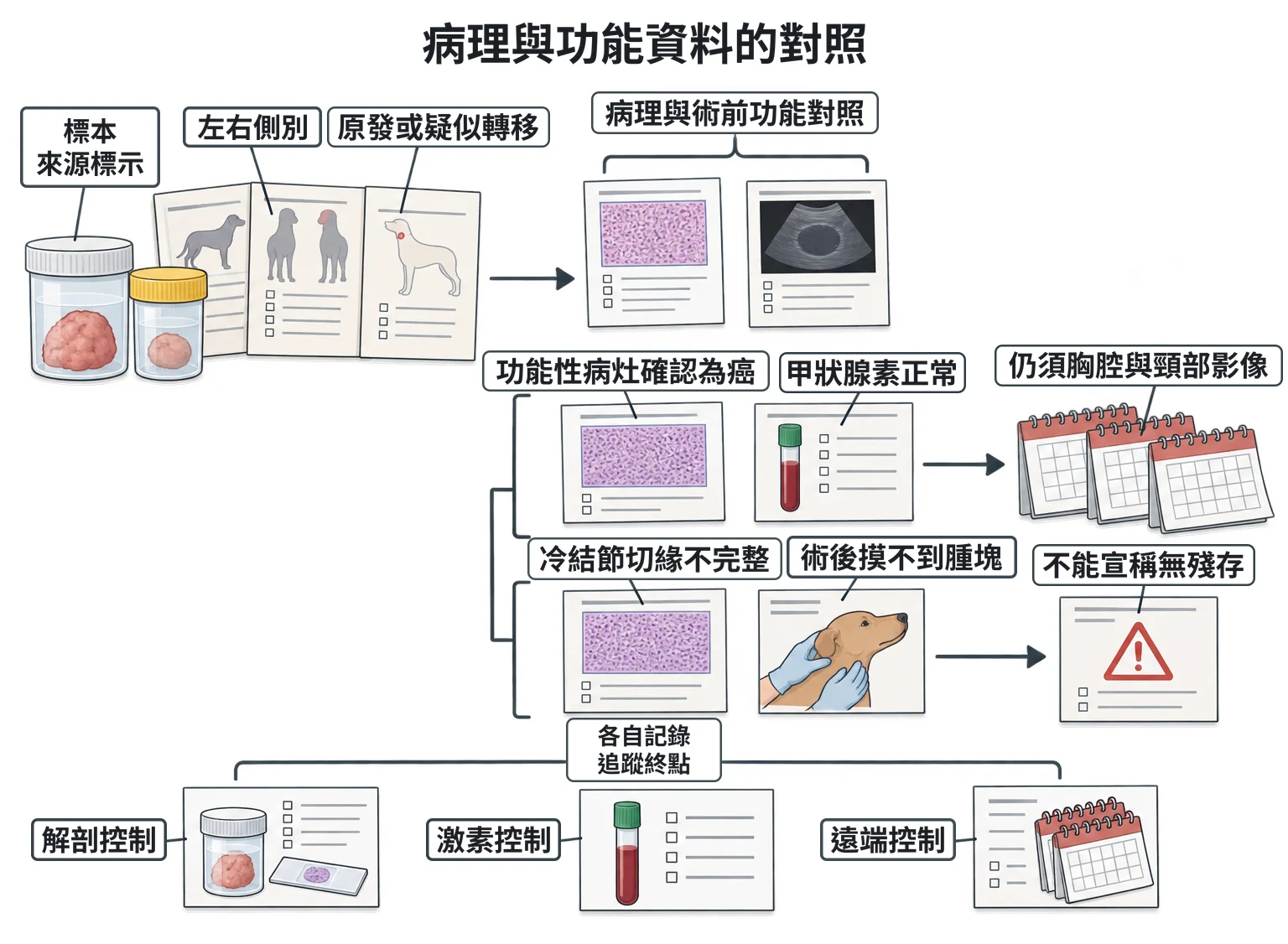 病理與功能資料的對照教學插圖