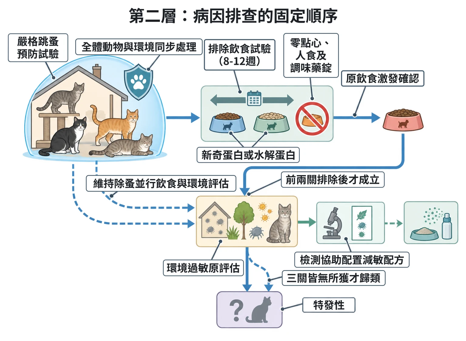 第二層:病因排查的固定順序教學插圖