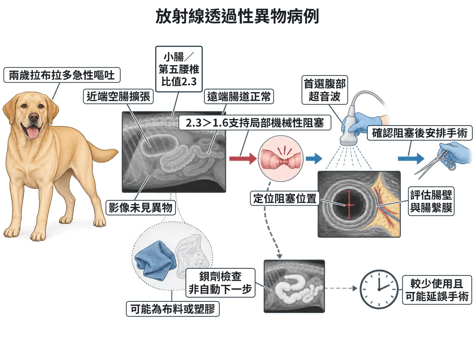 放射線透過性異物病例教學插圖