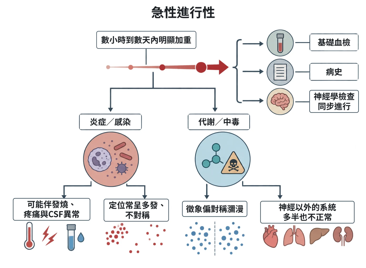 急性進行性教學插圖