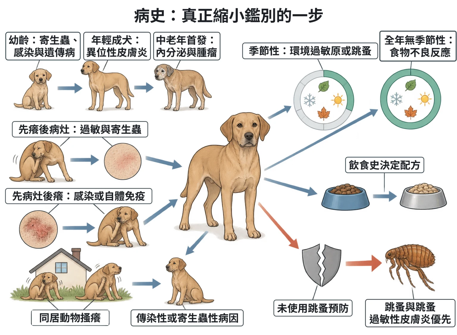 病史:真正縮小鑑別的一步教學插圖