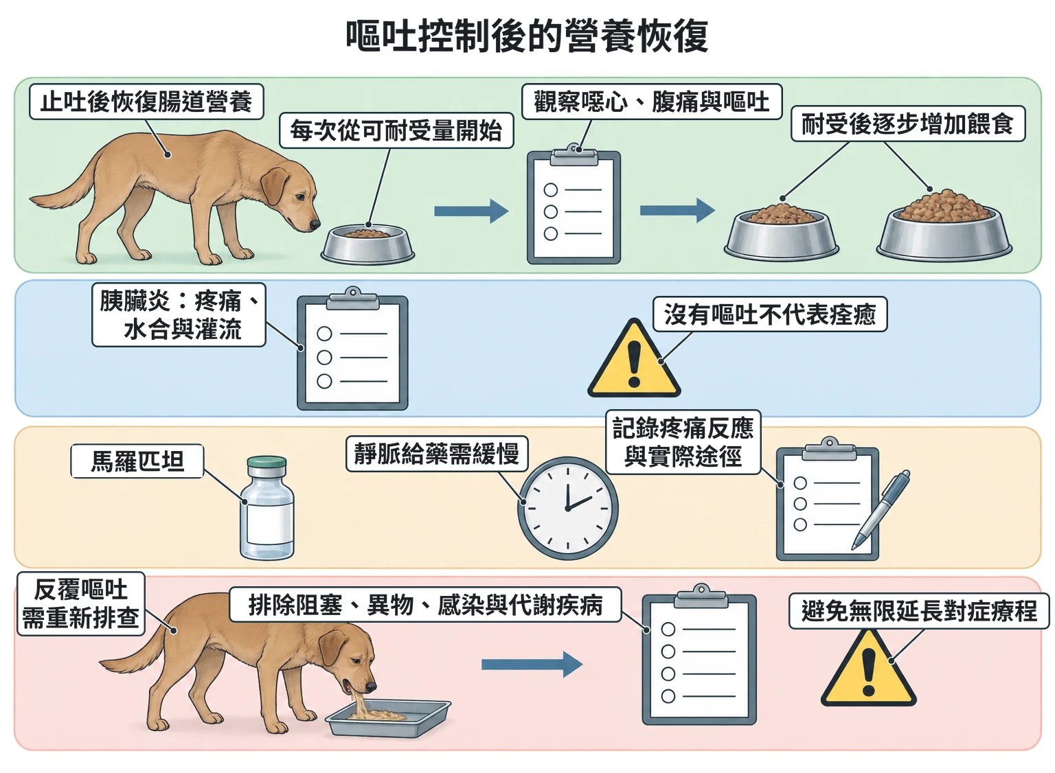 嘔吐控制後的營養恢復教學插圖