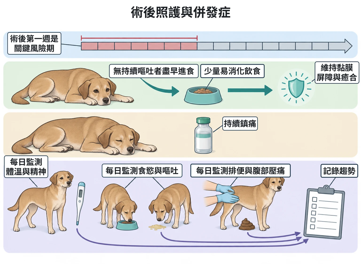 術後照護與併發症教學插圖