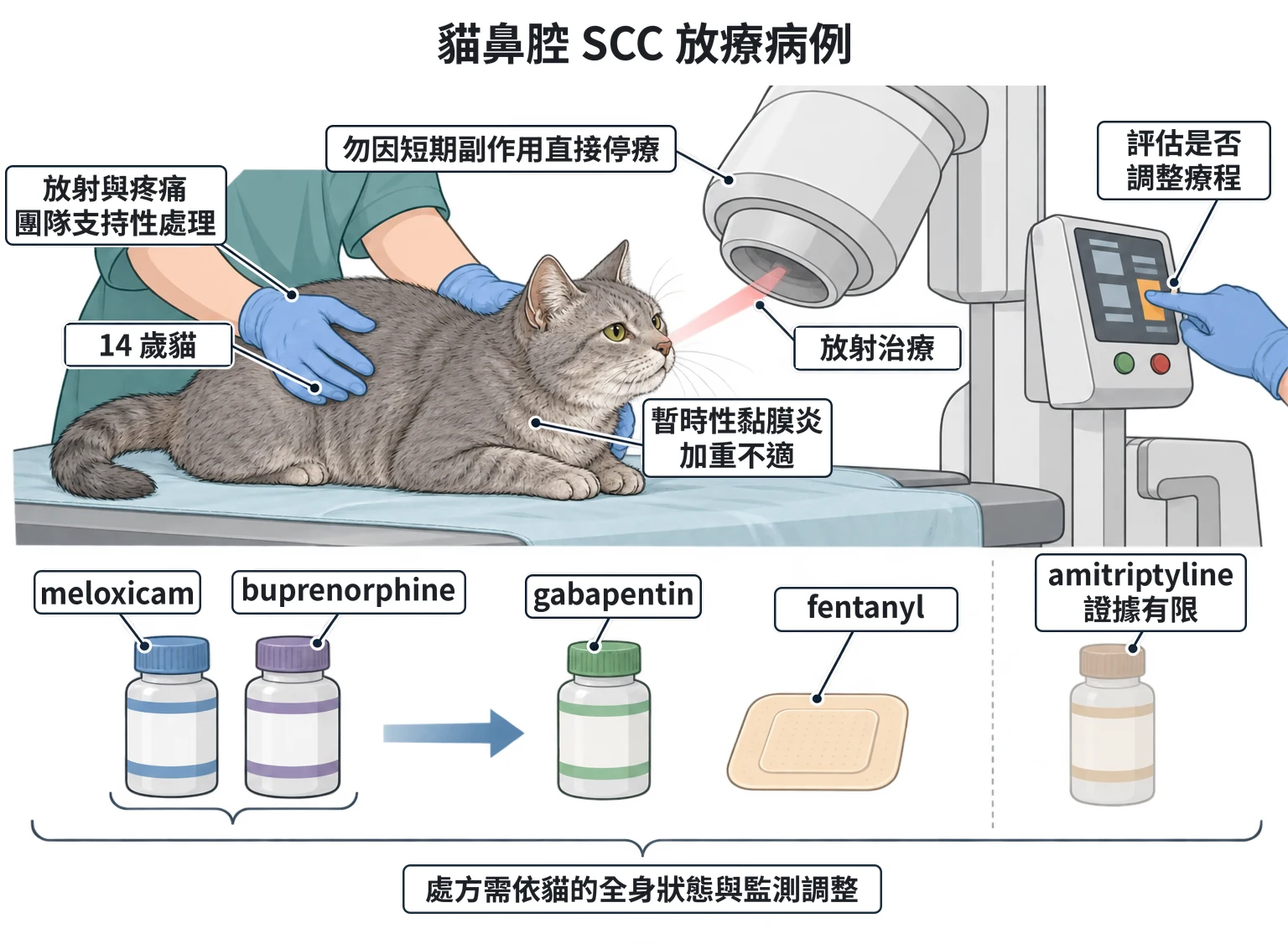 貓鼻腔 SCC 放療病例教學插圖