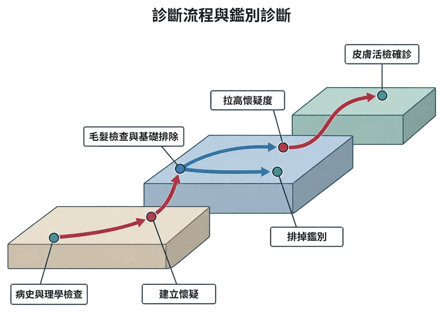 診斷流程與鑑別診斷教學插圖