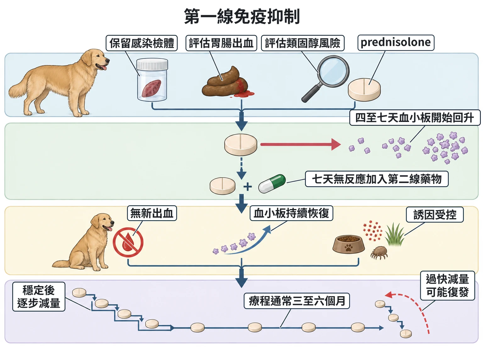 第一線免疫抑制教學插圖