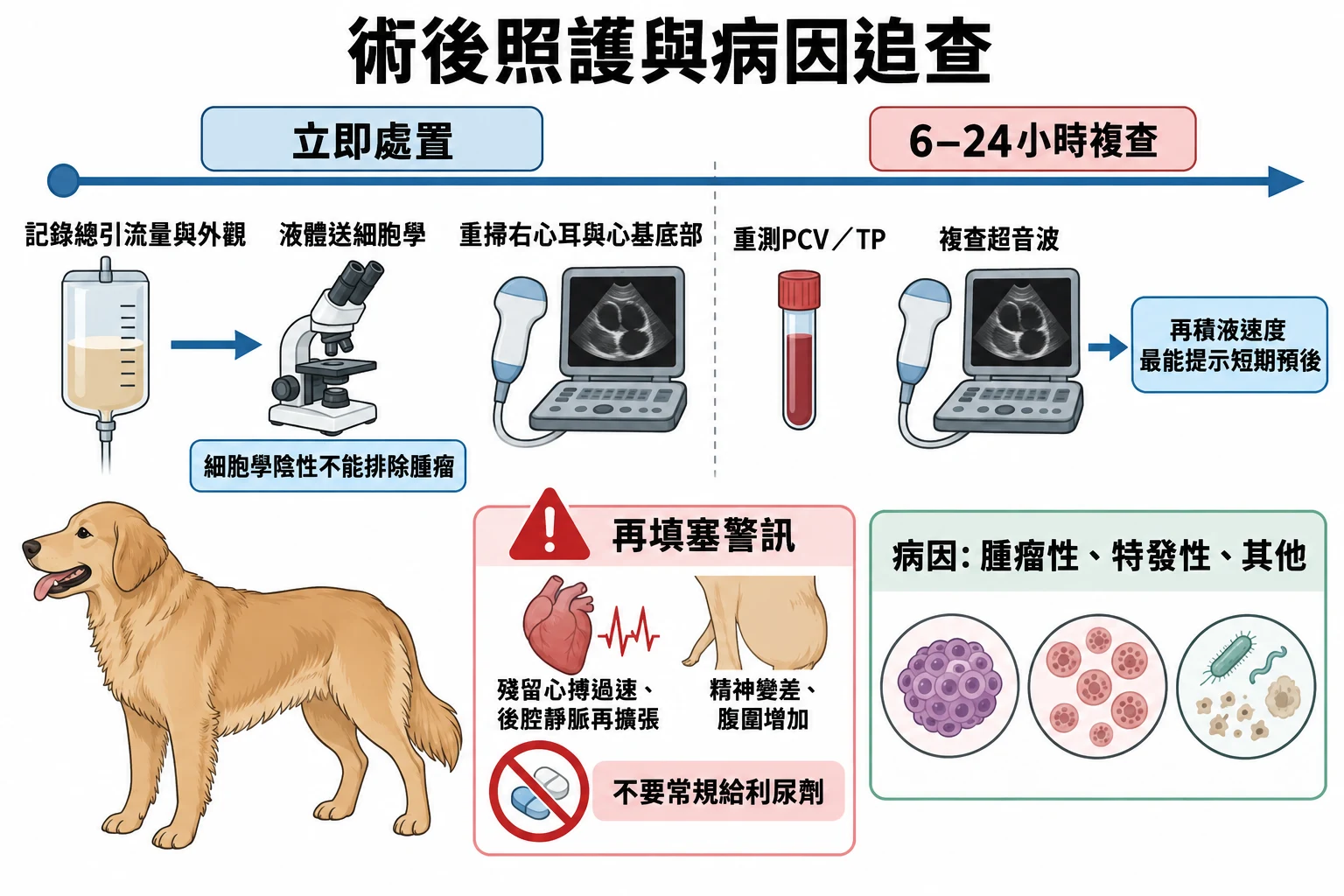 術後照護與病因追查教學插圖