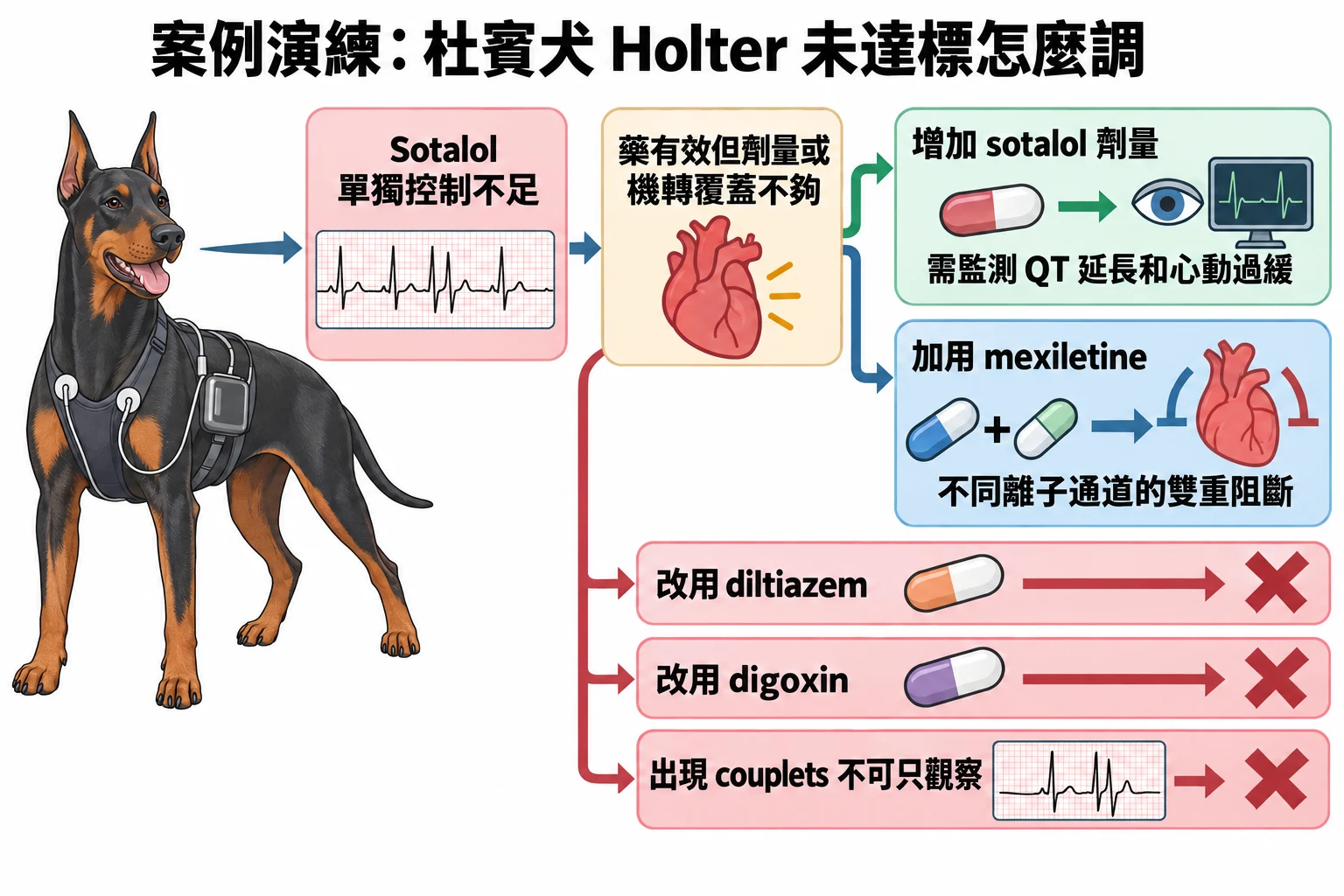 案例演練:杜賓犬 Holter 未達標怎麼調教學插圖