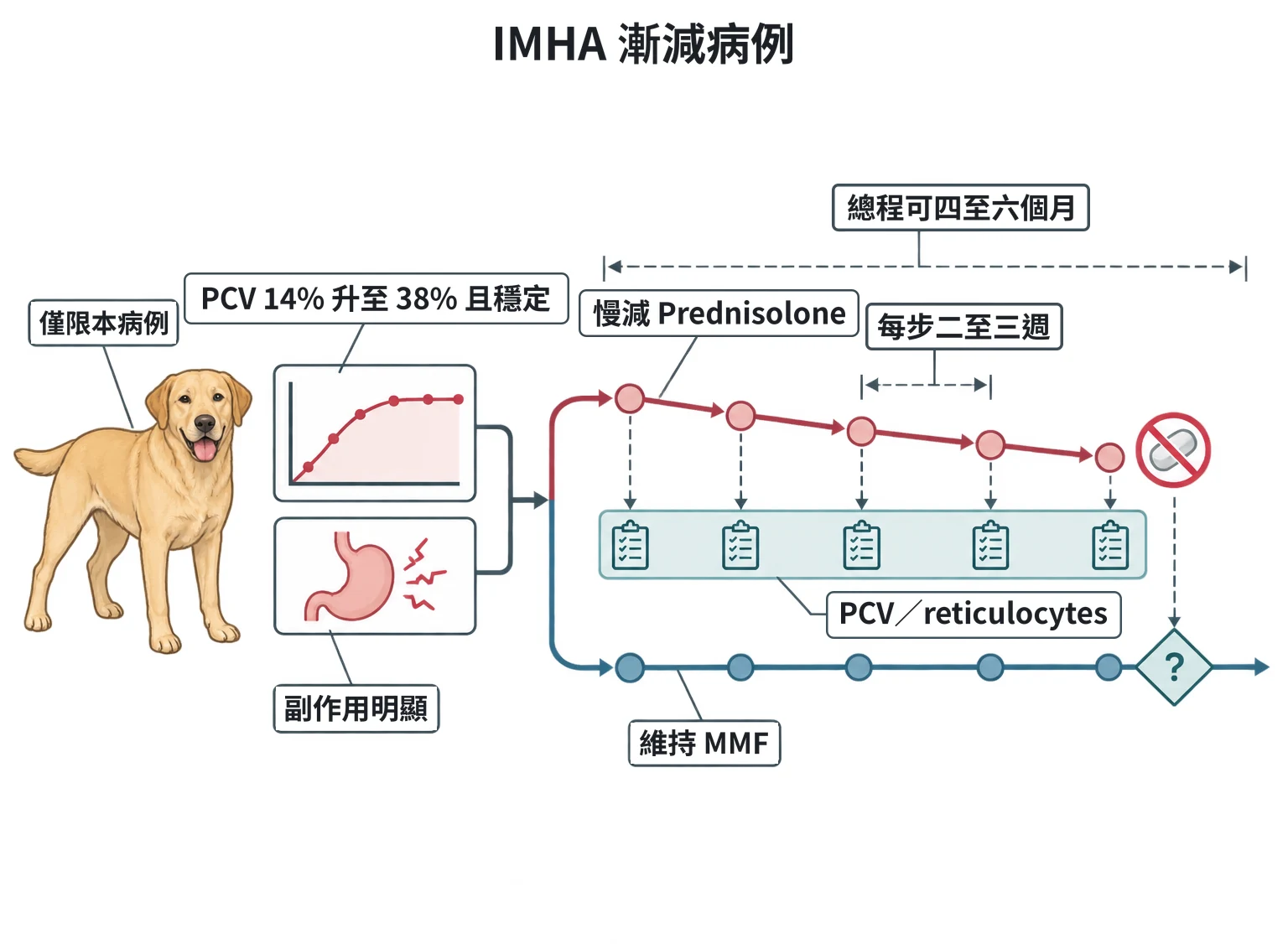 IMHA 漸減病例教學插圖