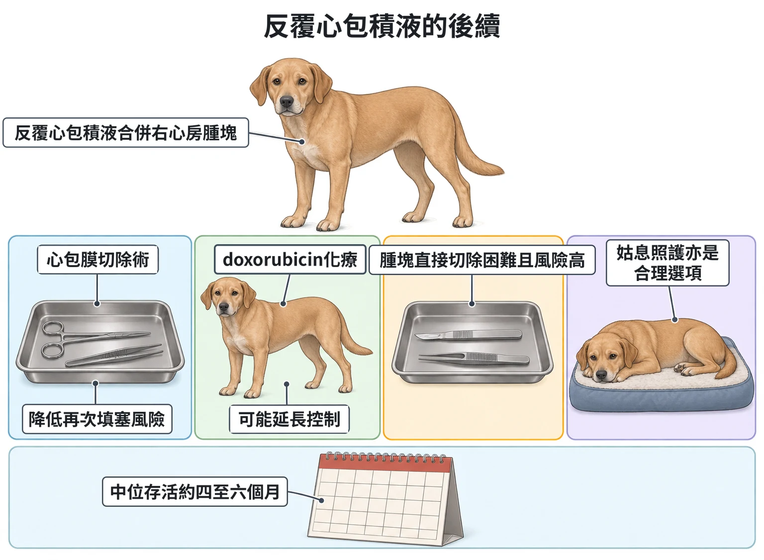 反覆心包積液的後續教學插圖