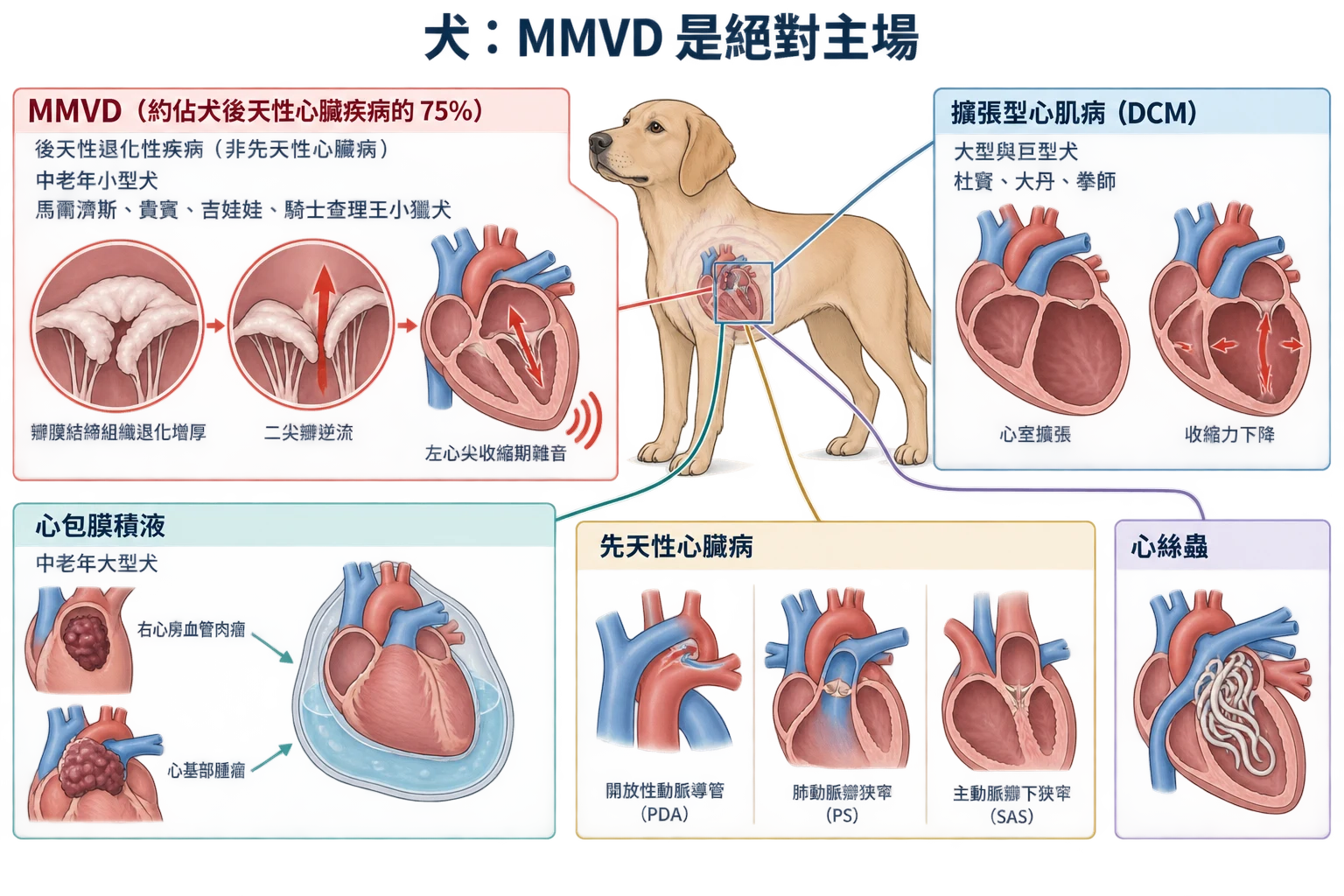 犬:MMVD 是絕對主場教學插圖