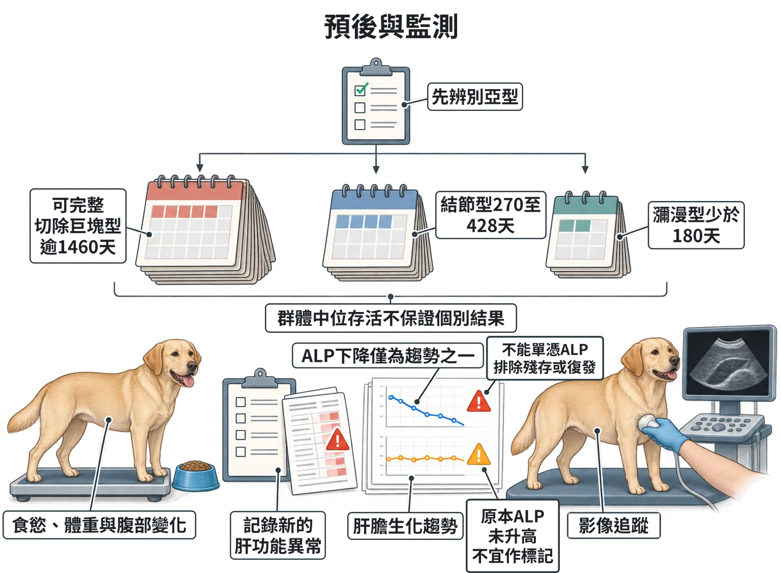 預後與監測教學插圖