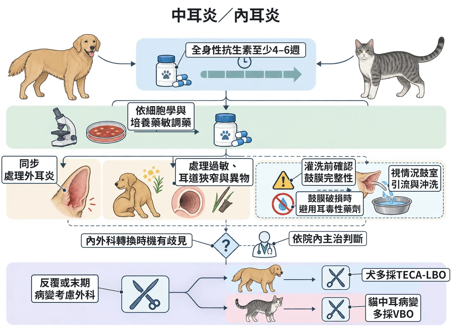 中耳炎/內耳炎教學插圖