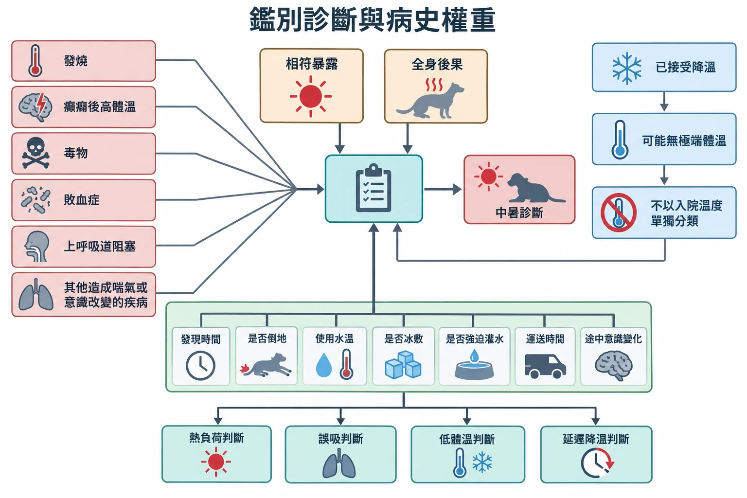 鑑別診斷與病史權重教學插圖