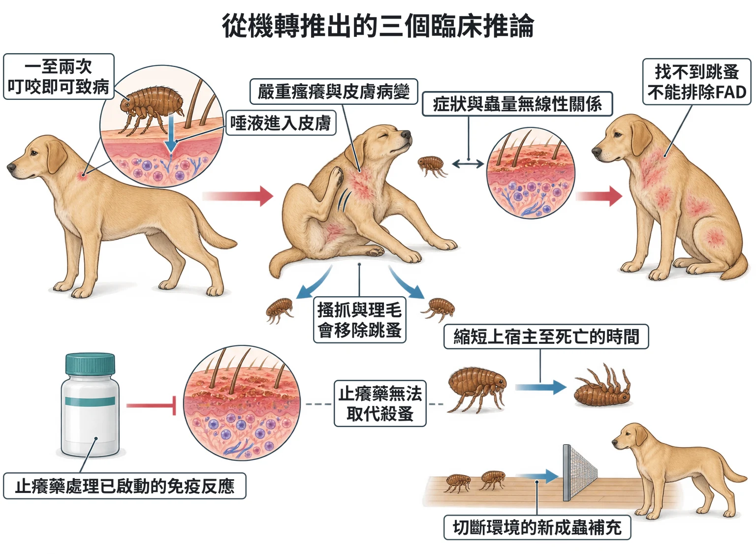 從機轉推出的三個臨床推論教學插圖