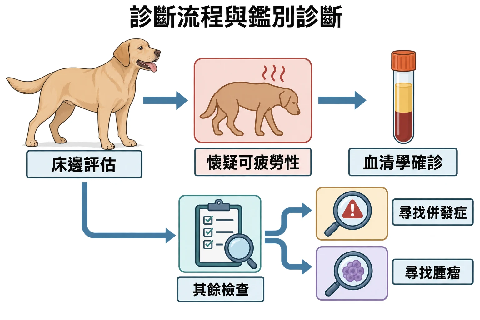 診斷流程與鑑別診斷教學插圖