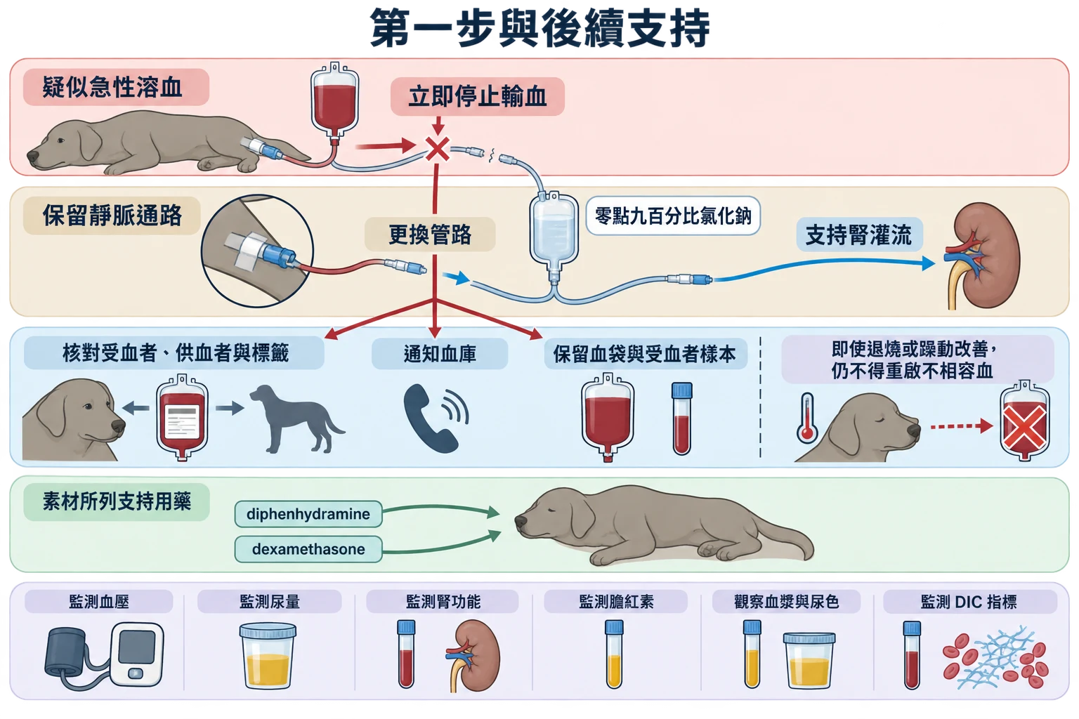 第一步與後續支持教學插圖