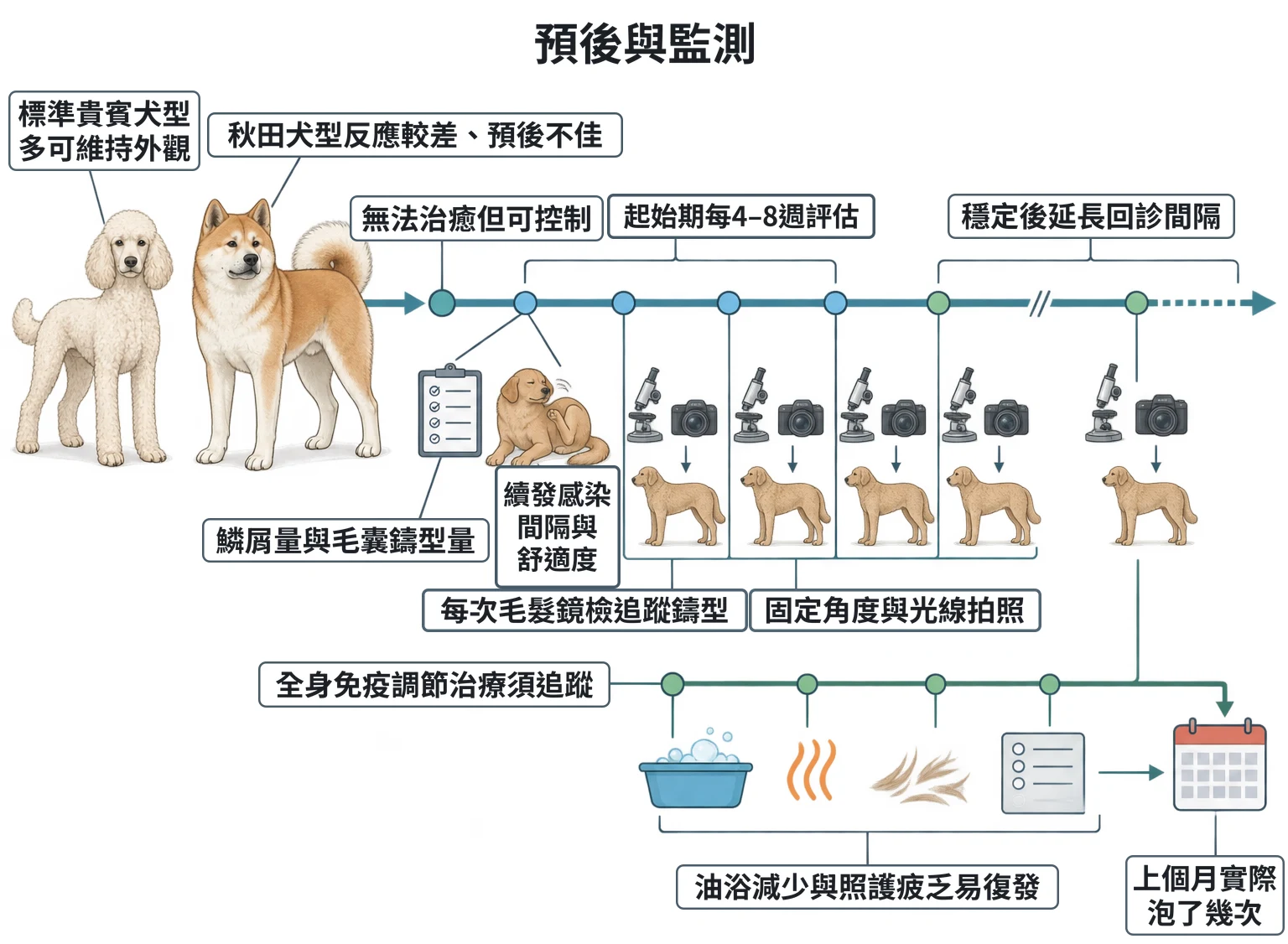 預後與監測教學插圖