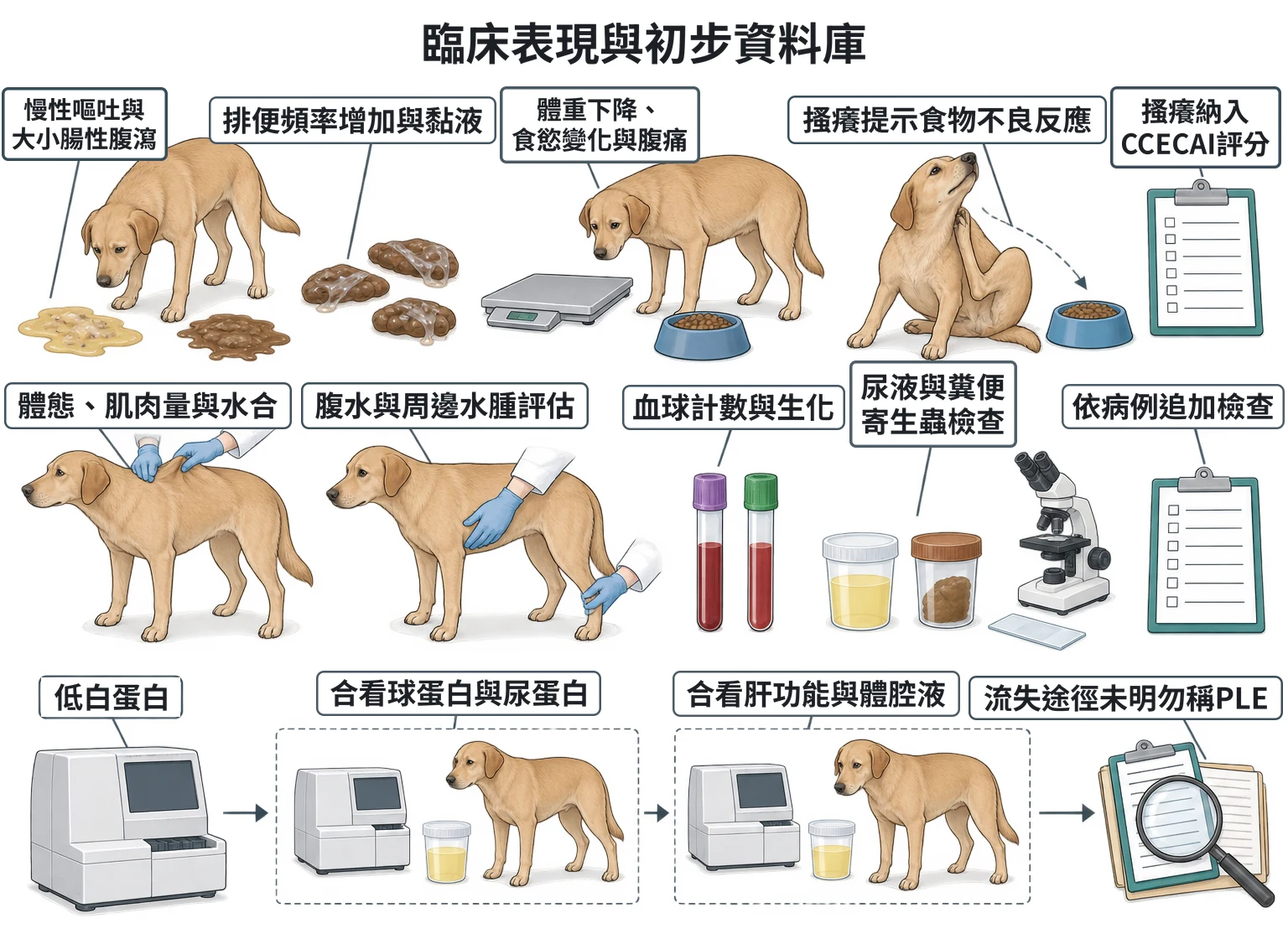 臨床表現與初步資料庫教學插圖