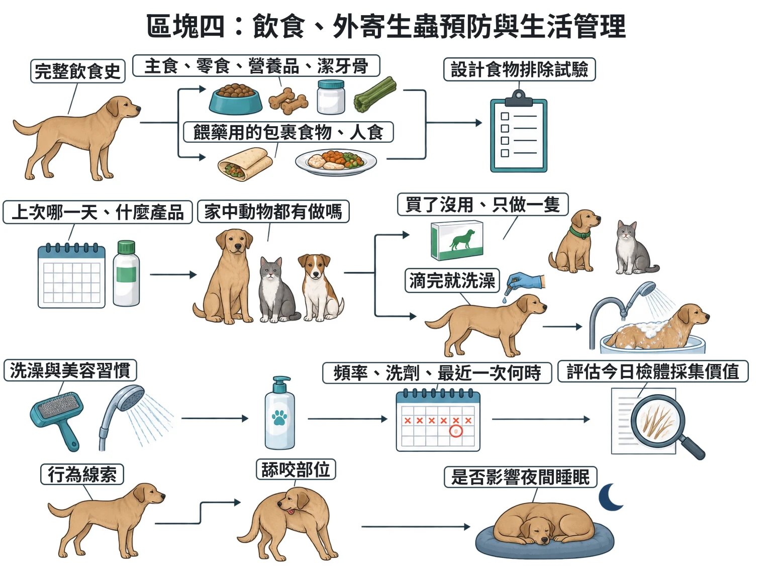 區塊四:飲食、外寄生蟲預防與生活管理教學插圖