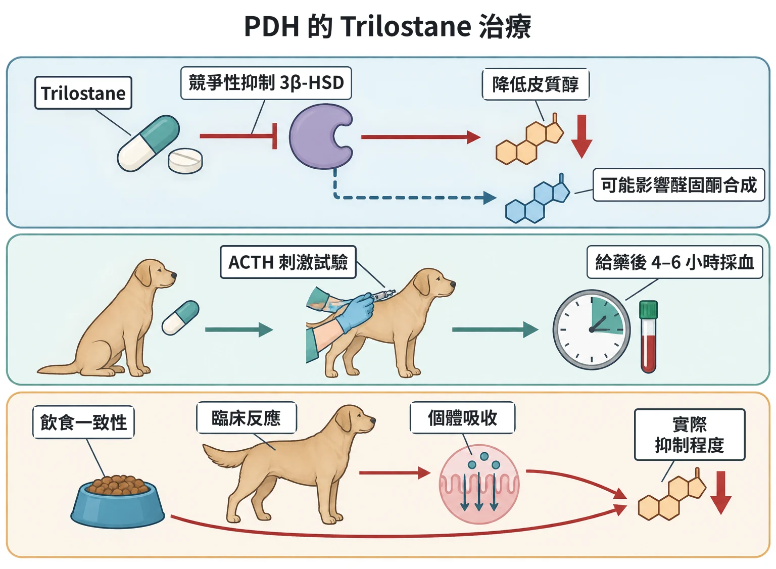 PDH 的 Trilostane 治療教學插圖