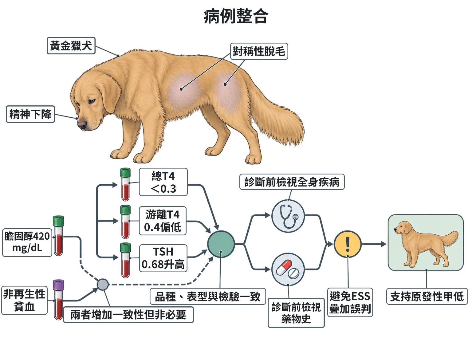 病例整合教學插圖