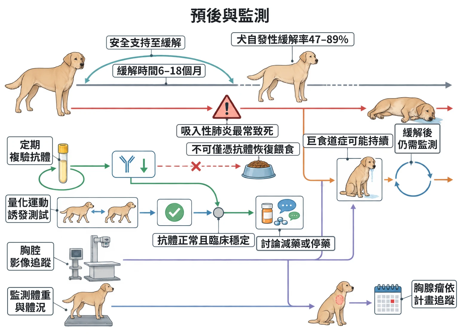 預後與監測教學插圖