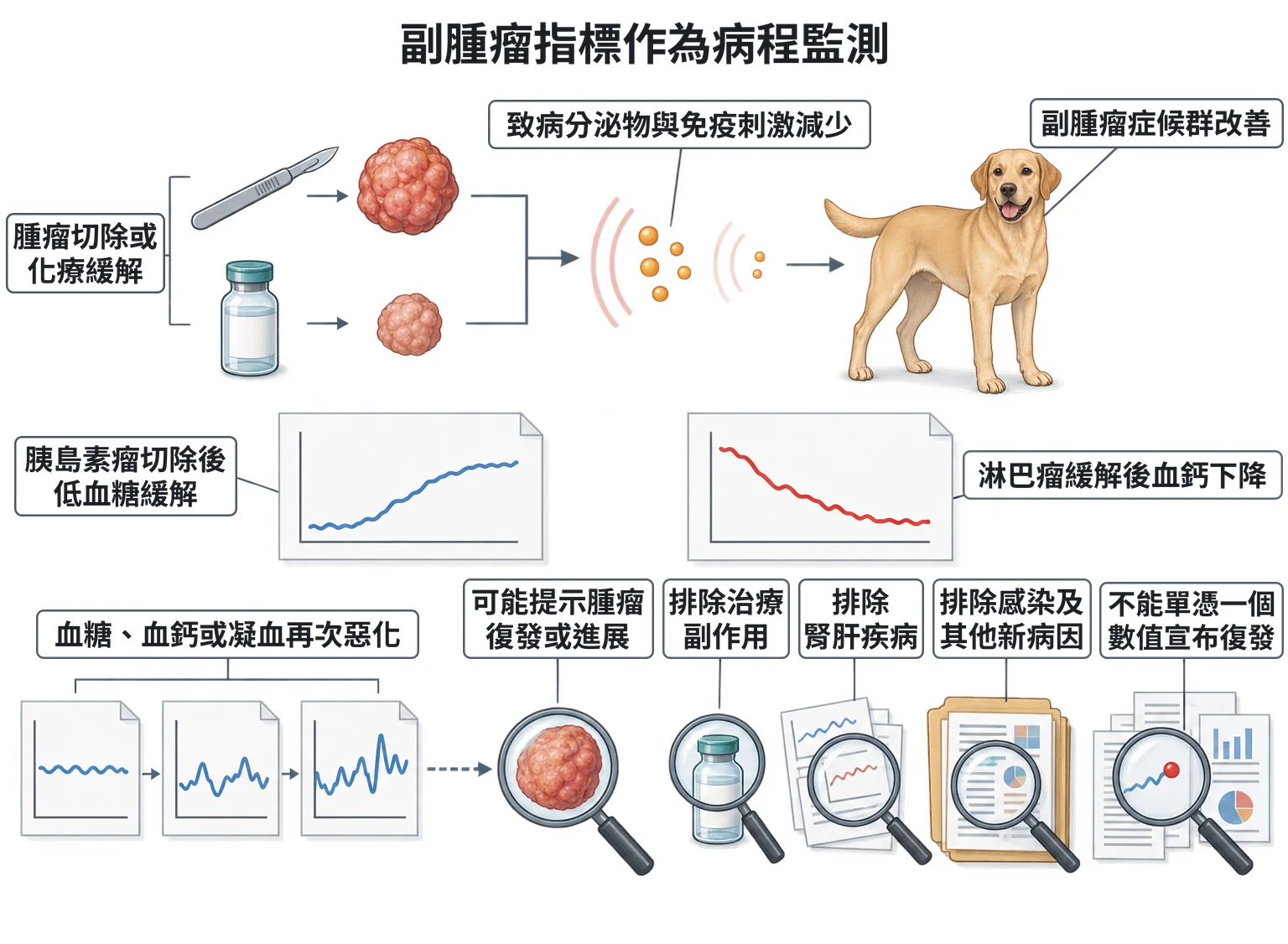 副腫瘤指標作為病程監測教學插圖