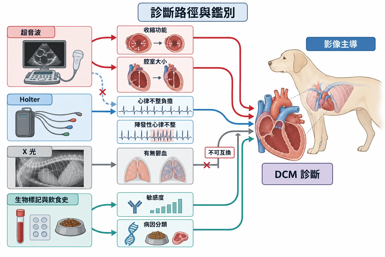 診斷路徑與鑑別教學插圖