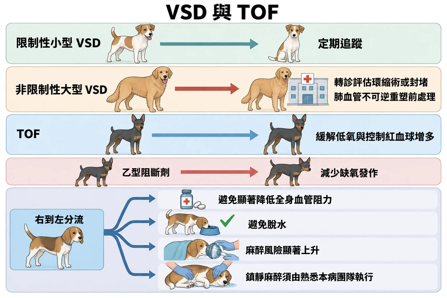 VSD 與 TOF教學插圖